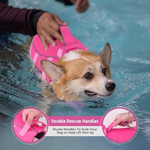 Dogcheer Dog Life Jacket with Double Rescue Handle, Reflective Dog Life Vest for Swimming Boating, Adjustable Pet Swim Vest Dog Flotation Device DFD for Small Medium Large Dogs - Pink XL - Thumbnail 2