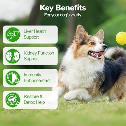 Vetriuntrix Liver Support for Dogs, Milk Thistle for Dogs - Detox, Metabolic, Dog Multivitamin Supplement for Liver and Kidney Support & Immune Health, 200 Soft Chews - Thumbnail 2