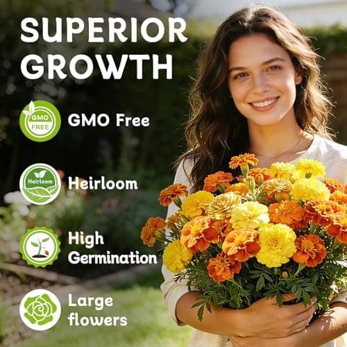 LUOJIBIE French Marigold Seeds for Planting Outdoors, Giant Marigold Flowers Seeds Bulk for 2026, Over 4,000+ Seeds Prolific Blooms, Ideal for Vibrant Pollinator Gardens - Thumbnail 3