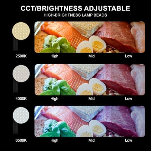 LOUERN Magnetic Dual-Sided Selfie Light Compatible with iPhone MagSafe, CRI95+ Rechargeable| Foldable|Compact Phone Light with Mirror for Selfies/Photography/Makeup/Video Conference/Influencers - Thumbnail 4
