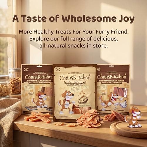 Dehydrated Chicken Round Dog Treats, Grain-Free High Protein Dog Chips for Training, Healthy Dry Snacks for Small Medium Large Dogs, Puppy & Senior Friendly, Natural Real Chicken, 16 oz (1 lb / 454 g) - Thumbnail 5