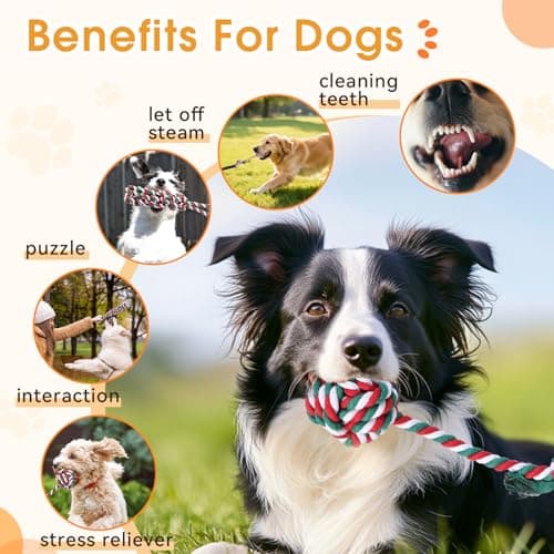 HOPET Bungee Tug Toy for Dogs,Tug of War Dog Toy for Aggressive Chewers to Keep Them Busy,Interactive Dog Rope Toy for Medium/Small Dogs,Can Used On Doors and Trees - Thumbnail 2