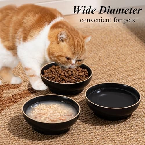 Cat Bowl 3 Pack, Pet Plate, Premium Ceramic Food Grade Pet Bowl Suitable for Dry and Wet Food, 5 in Feeding Indoor Cats, Kittens and Small Dogs, Dishwasher Safe (Black White Gray) - Thumbnail 6