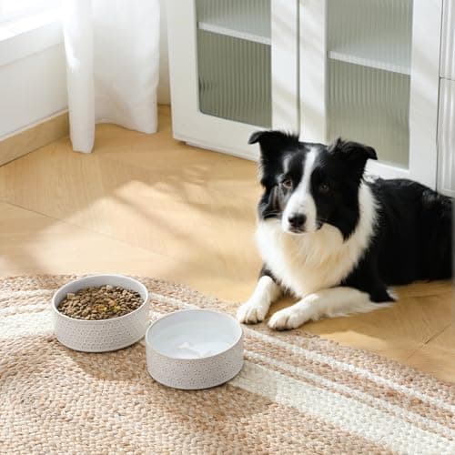 MALACASA Ceramic Dog Food Bowl, 3.5 Cups or 32oz Dog Food Water Dish for Mudium Breeds, Pet Bowl Dishwasher & Microwave Safe, Five-Leaf Grass, Series Lydia - Thumbnail 3