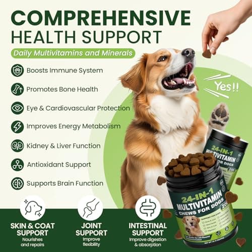 24-in-1 Dog Multivitamins Chewable, 200 Count Dog Vitamins and Supplements with Glucosamine Chondroitin Probiotics Omega-3 for Skin Coat Hip Joint Heart Liver Brain Eye Support - Chicken - Thumbnail 2