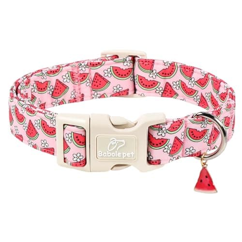 Babole Pet Summer Dog Collar Pink Watermelon Girl Dog Collars for Large Dogs - Lightweight Adjustable Cute Female Dogs Everyday Collar with Safety Buckle L - Image 1