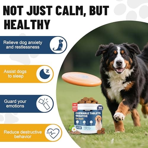 SNAZFIRST Calming Chews for Dogs Anxiety Relief, Dog Calming Chews-Anxiety and Stress Relief Treats Melatonin Bites Sleep Aid Calm Dog with Noise,Thunder,Barking,Separation(Chicken Flavor, 150 Chews) - Thumbnail 2