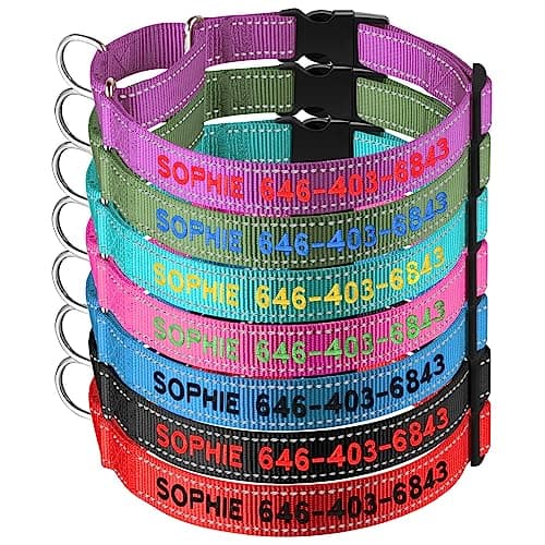 Personalized Martingale Dog Collar-Reflective Martingale Collars with Buckle, Custom Training Martingale Dog Collars Embroidered with Name and Phone Number for Small Medium Large Dogs