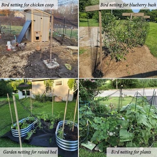 Junflying Bird Netting, 10x10 FT – 1/2" Mesh, Woven Garden Netting Against Birds, Deer, Rabbits, Small Animals, Mesh Net Roof Cover for Bed, Vegetables, Fruit Tree, Blueberry Bush & Strawberry Plant - Thumbnail 6