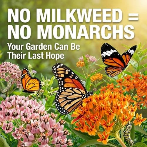Wildflower Seeds Mix (3oz) - 89.400+Seeds - Non-GMO Milkweed Seeds for Monarch Butterflies - 25+Varieties Annual & Perennial Wildflowers Mix - Bulk Flower Seeds for Pollinator Gardens - Thumbnail 5
