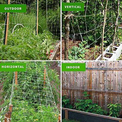 Tcamp Heavy-Duty Polyester Garden Trellis Net Plant Support Netting for Climbing Plants Outdoor, Flexible String Net for Bean Pea, White Grow Tent (5Ft x 30Ft, 3.5" Opening Mesh, 1 Pack) - Thumbnail 4
