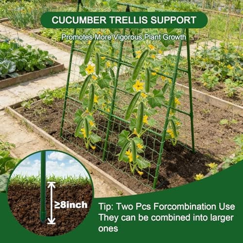2-Pack A-Frame Cucumber Trellis for Raised Bed - 33"x47" Foldable Garden Trellis with Net & Clips|Space-Saving Metal Plant Support for Cucumber, Tomato, Peas|Rust-Proof Outdoor Climbing Plants Trellis - Thumbnail 4