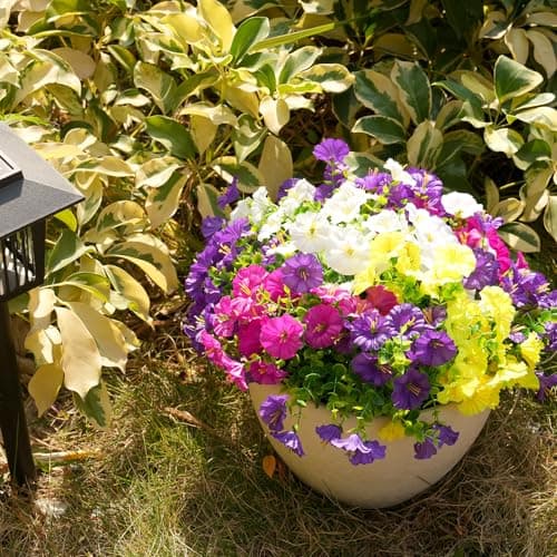 Fanfantoey Artificial Silk Morning Glory Faux Flowers for Porch Patio Gardens Home Decor, 4 Mixed - Thumbnail 5