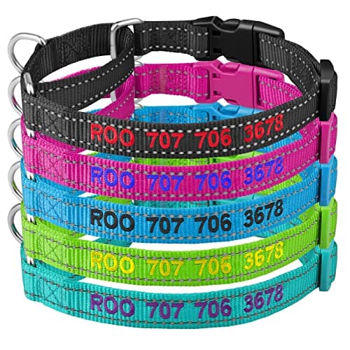 Personalized Martingale Dog Collar-Reflective Martingale Collars with Buckle, Custom Training Martingale Dog Collars Embroidered with Name and Phone Number for Small Medium Large Dogs