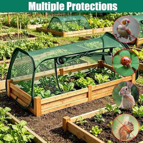 yqlbgprj 2PCS Raised Garden Bed Cover, Pop Up Plant Protector Crop Cage - Thumbnail 4