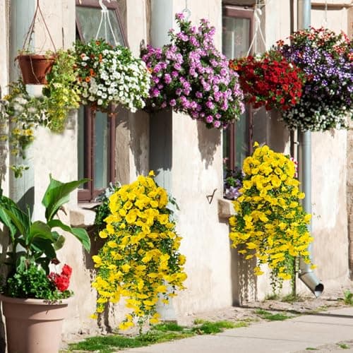 Fanfantoey Artificial Hanging Flowers for Outdoors, 2Pcs UV Resistant Fake Flowers, Realistic Faux Petunias Silk Long Vines Morning Glory Eucalyptus for Outside Planter Porch Patio Decor, Yellow - Thumbnail 6
