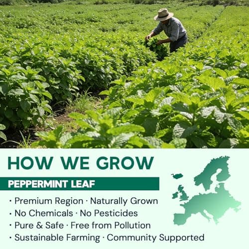 Hiihone Peppermint Tea Bags, Pure Peppermint Leaves, Fresh Minty Herbal Tea, Naturally Caffeine-Free, Non-GMO, Enjoy Hot or Iced, 50 Tea Bags - Thumbnail 3