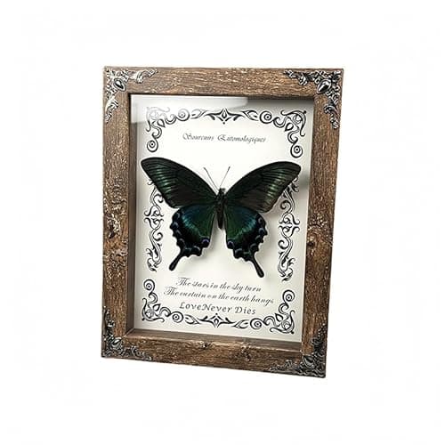 Wugakio Real Butterfly Framed - Hanging wood grain photo frame, Taxidermy Animals for Oddities and Curiosities Gifts (papilio maackii - Wood Grain Photo Frame) - Thumbnail 2