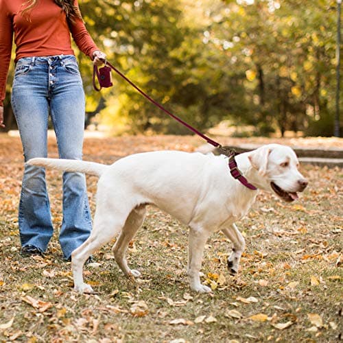 Wisedog Waterproof Dog Collar and Leash Set, Adjustable Puppy Collar with Cute Tag 6FT Dog Leash with Poop Bag for Small Medium Large Dogs (XL, Burgundy) - Thumbnail 6