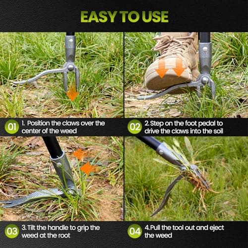 KNLLFolan Weed Puller, Stand Up Weed Puller Tool with Steel Long Handle, 4 Claw Steel Head Weeder Tool, Handle Weeder Tool Without Bending, Pulling, or Kneeling - Thumbnail 3