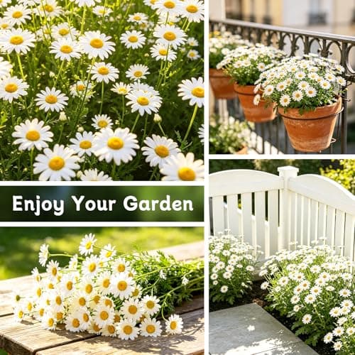 LUOJIBIE German Chamomile Seeds, 60,000+ Chamomile Flower Seeds Bulk for Planting Outdoor Indoor Garden, Heirloom & Non-GMO Matricaria Chamomilla/Recutita Herb Seeds, Easy to Grow - Thumbnail 5