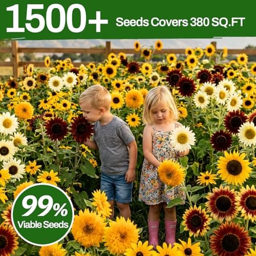LUOJIBIE Sunflower Seeds 5 Varieties Mixed, 1500+ Sunflower Seeds for Planting 2026, High Germination Non-GMO, Wildflower Seeds for Planting Indoor Outdoor, Open Pollinated - Thumbnail 5