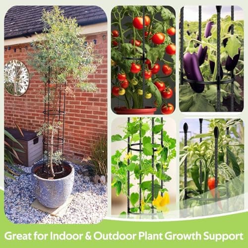 2 Pack Tomato Cages for Garden - Heavy Duty Tomato Trellis for Climbing Plants Outdoor & Indoor - 63 Inch Adjustable Tall Plant Cage & Support Garden Stakes for Pots Vegetables Flowers Fruits Vines - Thumbnail 6