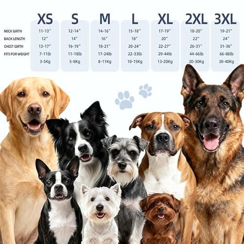 ExploreU Dog Anxiety Vest Skin-Friendly Thunder for Dogs, Dog Calming Shirt for Thunder, Fireworks, Vet Visits and Separation - Keep Pet Calm Without Medicine (Blue, M) - Thumbnail 6