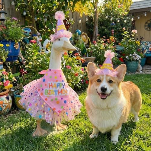 yuboo Pink Birthday Porch Goose Outfit, Tulle Skirt, Glitter Hat & Bandana Fits 17" to 23" Cement Plastic Lawn Geese Summer Garden Decor Statue Clothes - Thumbnail 5