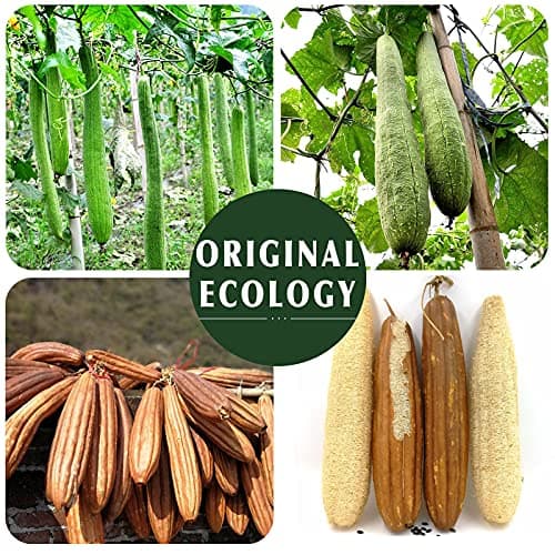 YIQINGJIE Natural Loofah Sponge Exfoliating Body Scrubber(4 Packs),Made with Eco-Friendly and Biodegradable Soft Shower Luffa Sponge, Loofah for Women and Men, Brown - Thumbnail 5
