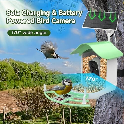 Smart Bird Feeder with Camera Solar Powered,AI Identify Species,2K HD Video Auto Capture Live for Outdoor Backyard,Ideal Gift for Family Bird Lovers (Green) - Thumbnail 2