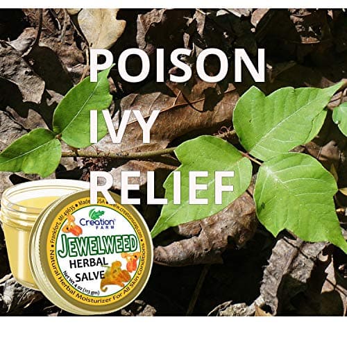 Creation Farm Jewelweed Balm, Poison Ivy Remedy, Herbal Tea Tree Salve Jar Skin Treatment Helps Tattoo's, Soothes Rashes, No Gluten, No Parabens, No Soy, No GMO - Thumbnail 6