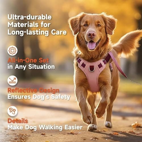 Pink Dog Harness Leash Collar Set, No Pull Reflective Dog Vest Harness with Control Handle, Adjustable Breathable Pet Harness for Small Medium Dogs Walking Training - Thumbnail 2