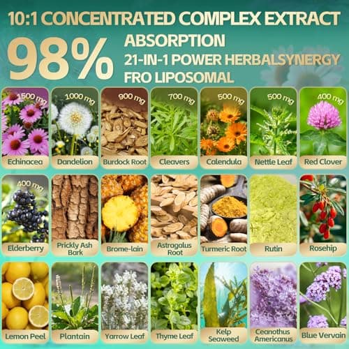 21-in-1 Liposomal Lymphatic Drainage Supplements, 100 Day Supply, 6000mg Lymph System Support for Women & Men with Echinacea, Dandelion, Burdock, Bromelain, Calendula, Turmeric & More, 300 Softgels - Thumbnail 3