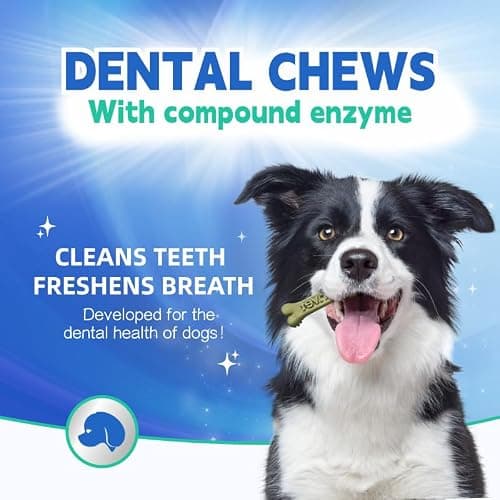 Dr.vet Dog Dental Chews, Dog Dental Sticks for Plaque and Tartar Remover for Dogs, Dog Breath Freshener and Teeth Cleaning Treats, Rawhide Free Dog Chews for Small Breed Dog Treats, 100g (7 Sticks) - Thumbnail 2