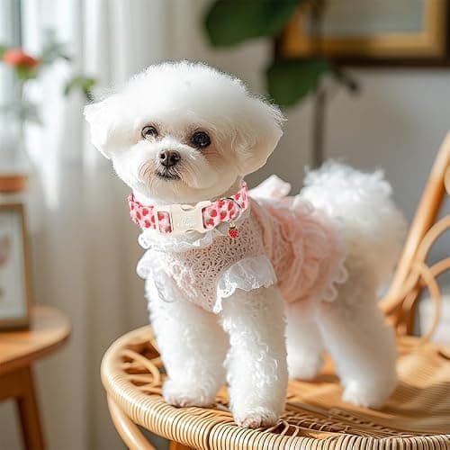 Babole Pet Strawberry Dog Collar Summer Pink Girl Dog Collars for Medium Dogs - Lightweight Adjustable Cute Female Dogs Everyday Collar with Safety Buckle M - Thumbnail 2