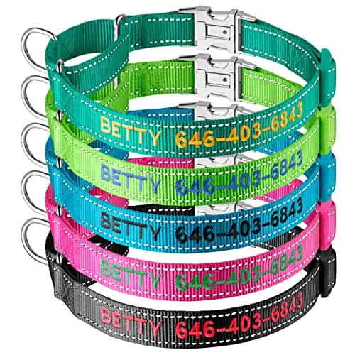 Personalized Martingale Dog Collar-Reflective Martingale Collars with Buckle, Custom Training Martingale Dog Collars Embroidered with Name and Phone Number for Small Medium Large Dogs - Image 1