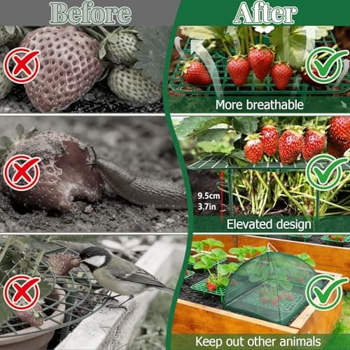 6 Sets Strawberry Plant Support with Mesh Plant Cover, Strawberry Growing Rack Kit with 24 Iron Plant Nails for Garden, Strawberry Growing Frame with Protective Net for Strawberries Tomatoes Veggies - Thumbnail 4