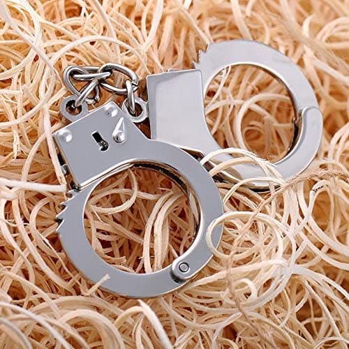 ZB.soar Funny Cat Handcuffs, Key Buckle,Stainless Steel Pet Toy Handcuffs, Mini Pet Handcuff Suitable for Most Small Pets,Increase The Relationship with Your Pets (Metal) - Thumbnail 4