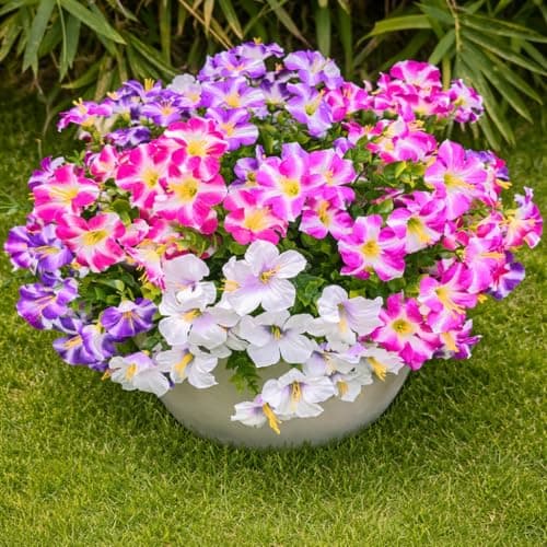 ENXWEI Artificial Flowers, 8 Bundles Faux Silk Pansies, Multi-Color, Weather Resistant, for Outdoor Decoration (Colour mixing-01) - Image 1