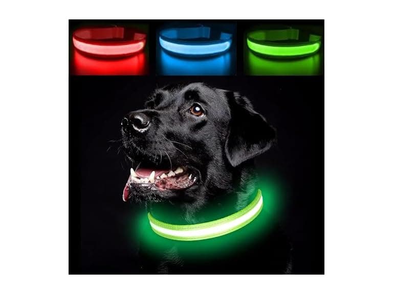 Guuueoo LED Dog Collar, Light Up Dog Collars - Image 1