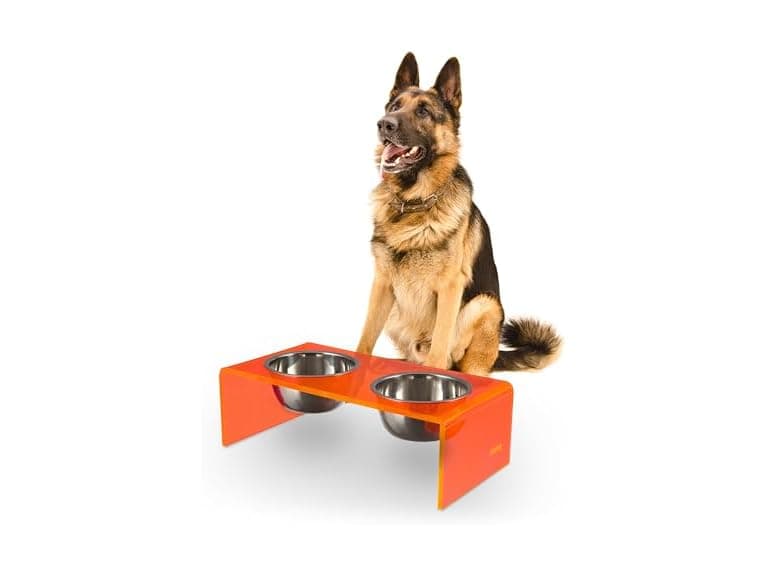 Keaton 7.5" Modern Acrylic Rectangular Elevated Pet Feeder - Image 1