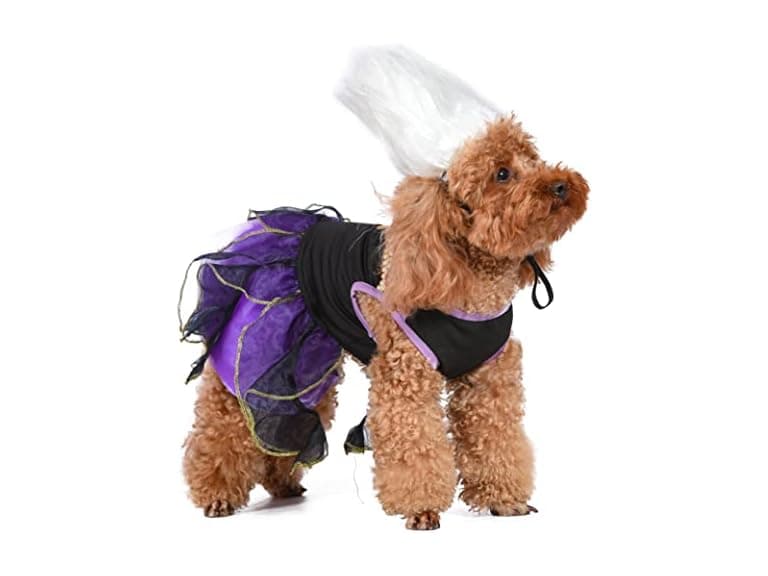 Disney for Pets Halloween Disney Villains Ursula - Image 1