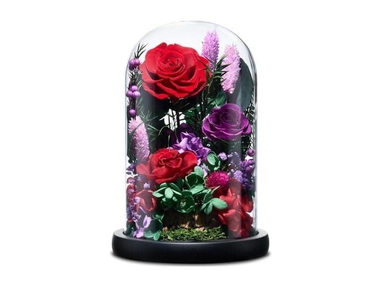 CuteWelt Preserved Roses - Image 1