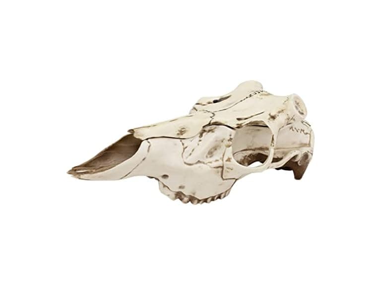 Mountain Mike's Natural Causes Skull Master, Medium, MMRSMMNC - Image 1