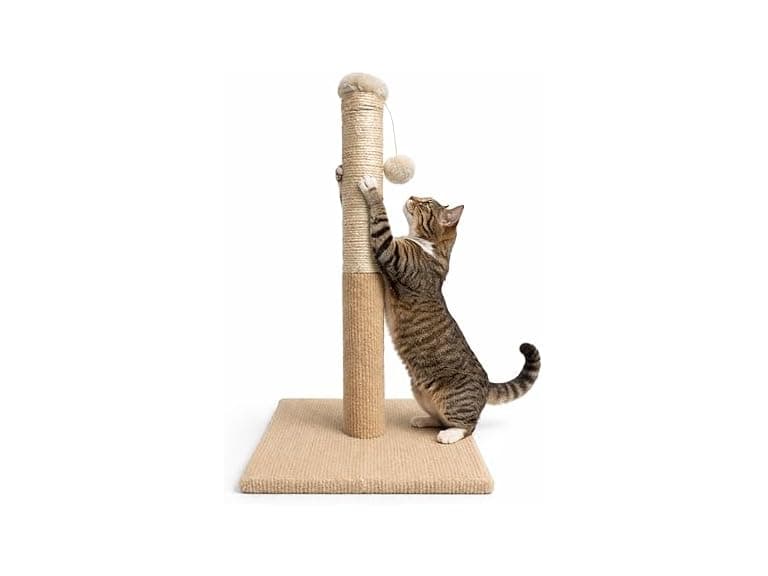 ASPCA Cat Scratching Post for Indoor Cats - Image 1