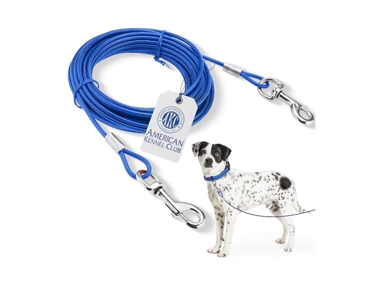 American Kennel Club Dog Tie Out Cable 20 Ft - Image 1