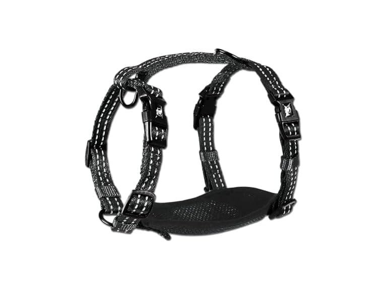 Alcott Essentials Adventure Pet Harness, Small - Image 1