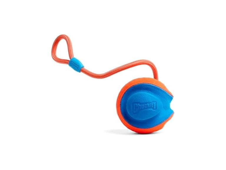 Chuckit! Rope Fetch Dog Toy - Ball on Rope Fe - Image 1