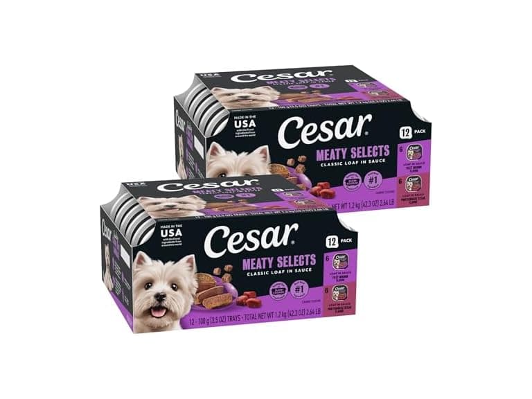 24ct Cesar Classic Loaf in Sauce Adult Wet Dog Food - Image 1